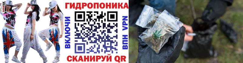 Каннабис Amnesia  Купить закладки  Боровичи 
